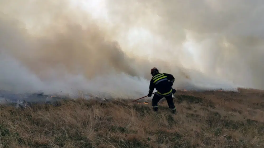 Požar na knjaževačkoj deponiji Vetar otežava gašenje Društvo