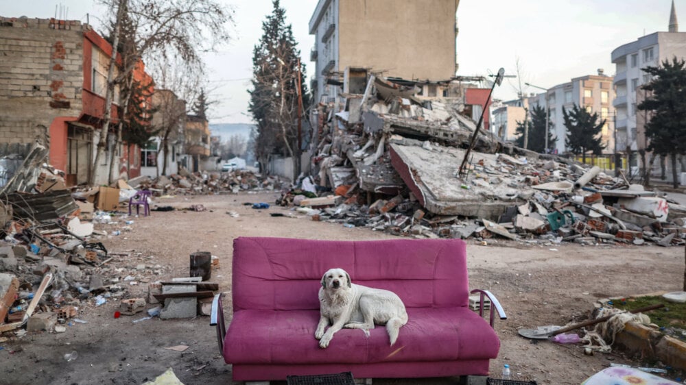 Od luksuznih stanova do masovne grobnice Kako je zemljotres uništio