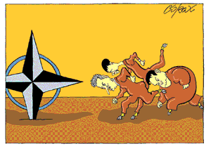 Corax 12