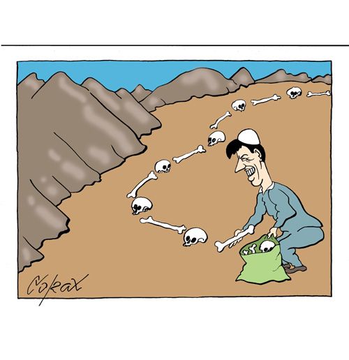 Corax 7