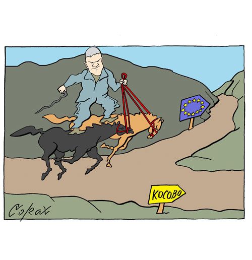 Corax 14