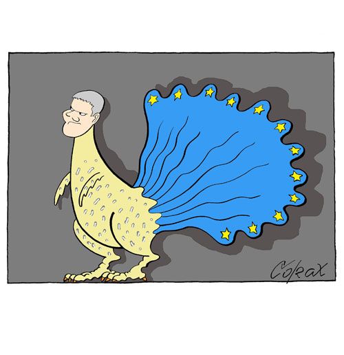 Corax 5