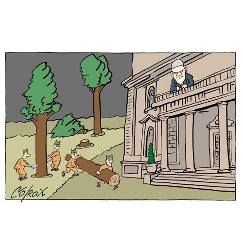 Corax 11