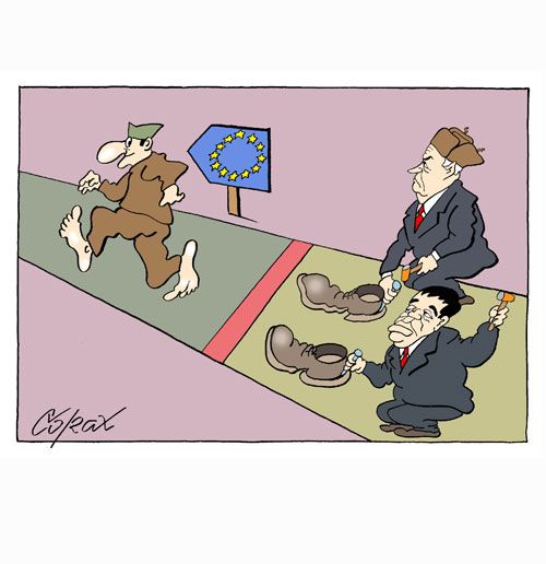 Corax 5