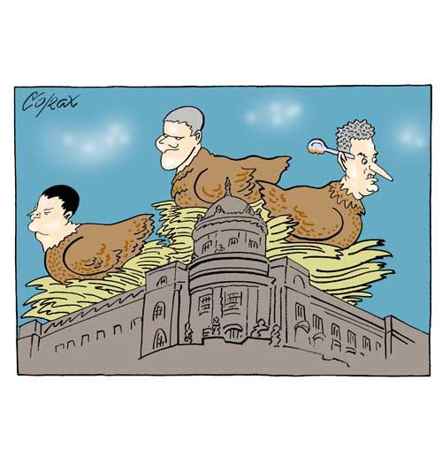 Corax 8