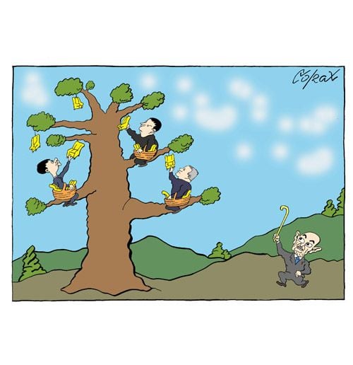 Corax 15