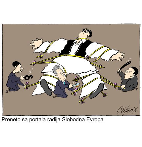 Corax 8