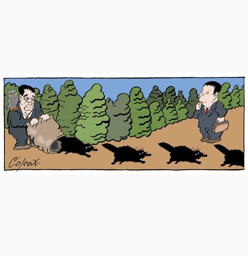 Corax 7