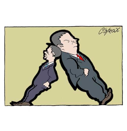 Corax 10