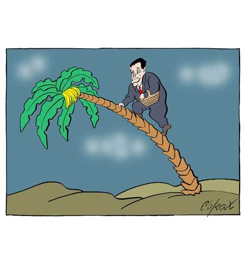 Corax za sredu 13.02.2013 1