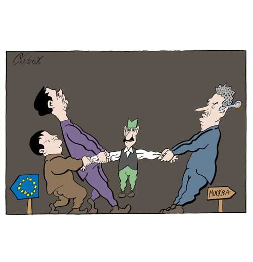 Corax 6