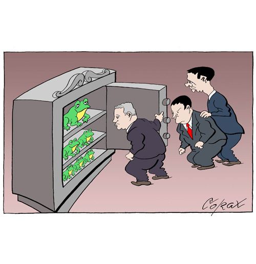 Corax 10