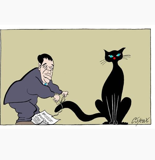 Corax 11