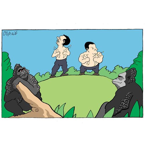 Corax 11