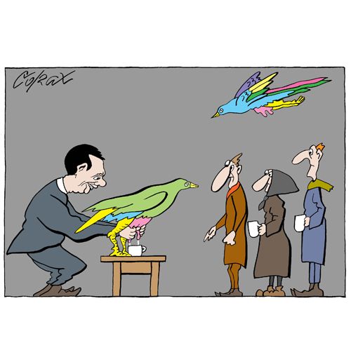 Corax 7