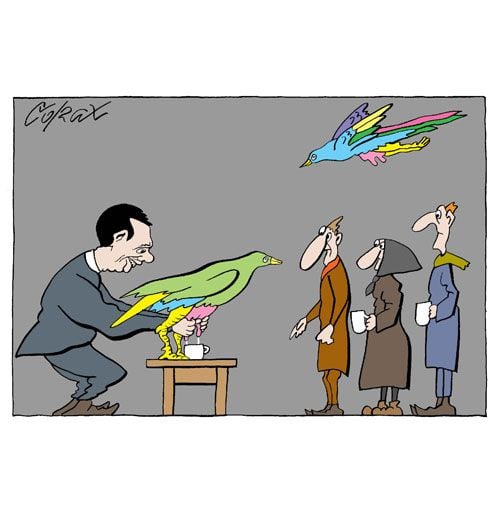 Corax 15