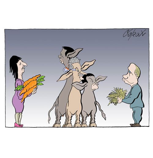 Corax 14