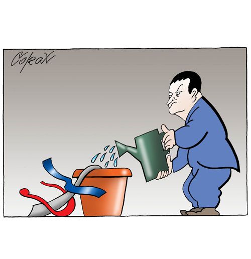 Corax 5