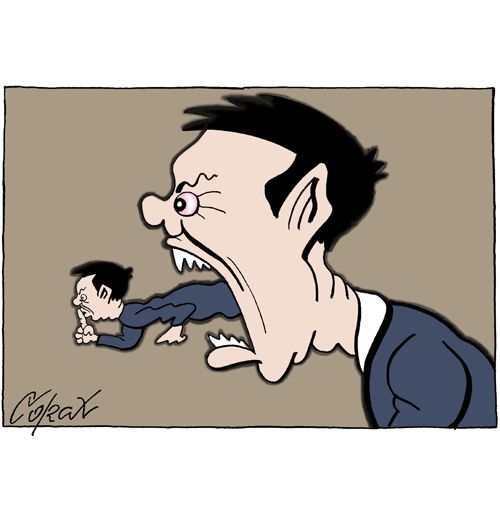 Corax 8