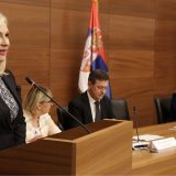 Mihajlović: Beograd nije dovoljno efikasan 5