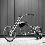 Srpski električni bicikl najlepši na svetu 13