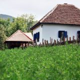 Kako oživeti srpsko selo 11