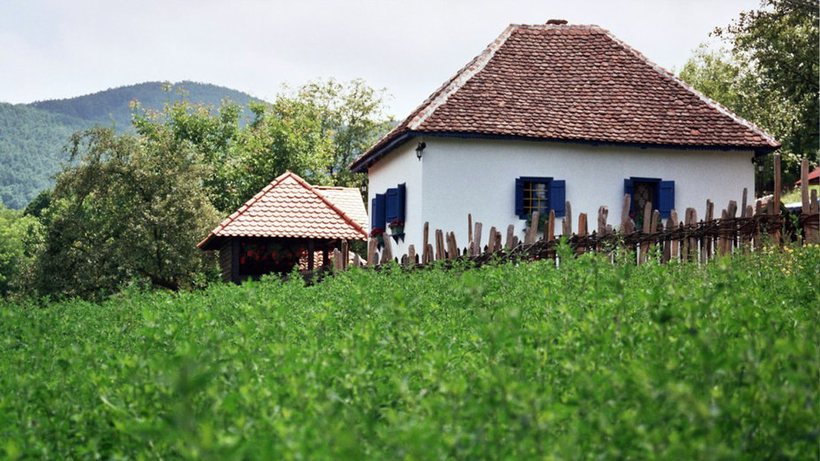 Kako oživeti srpsko selo 1