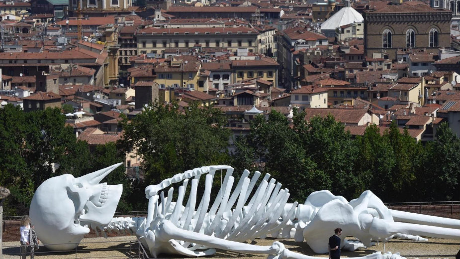 Skulptura "Kosmički magnet" na izložbi u Firenci 1