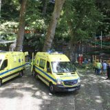 Drvo usmrtilo 12 ljudi na ostrvu Madeira 13