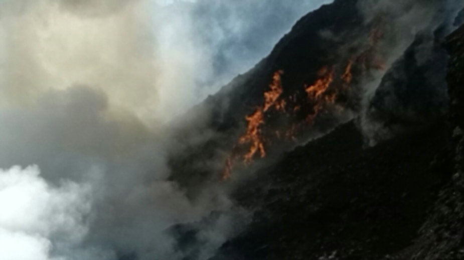 Lokalizovan požar na Suvoboru i Maljenu, gori 150 hektara kod Negotina 1