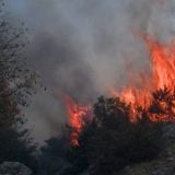 Požari u užičkom kraju, vetar otežava gašenje 6