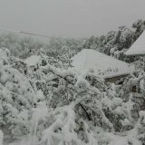 Pao prvi sneg u Srbiji 9