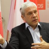 Tadić: Podrška kandidatu DS, ideja obnove stranke 9