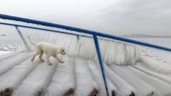 Polarni talas u Evropi, prvi sneg u Rimu posle 2012. 3