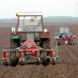 Poljoprivrednici: Suvo zemljište sprečava setvu pšenice 9