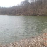 Jezero blizu Topole ostalo bez ribe 4