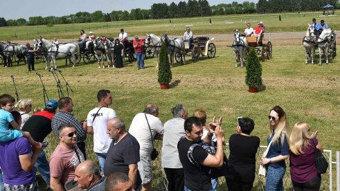 Vulin: Od septembra ponovo konjske trke u Karađorđevu 2