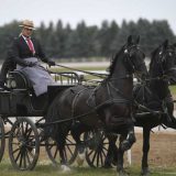 Izložba konja i takmičenje dvoprega i četvoroprega (FOTO) 1