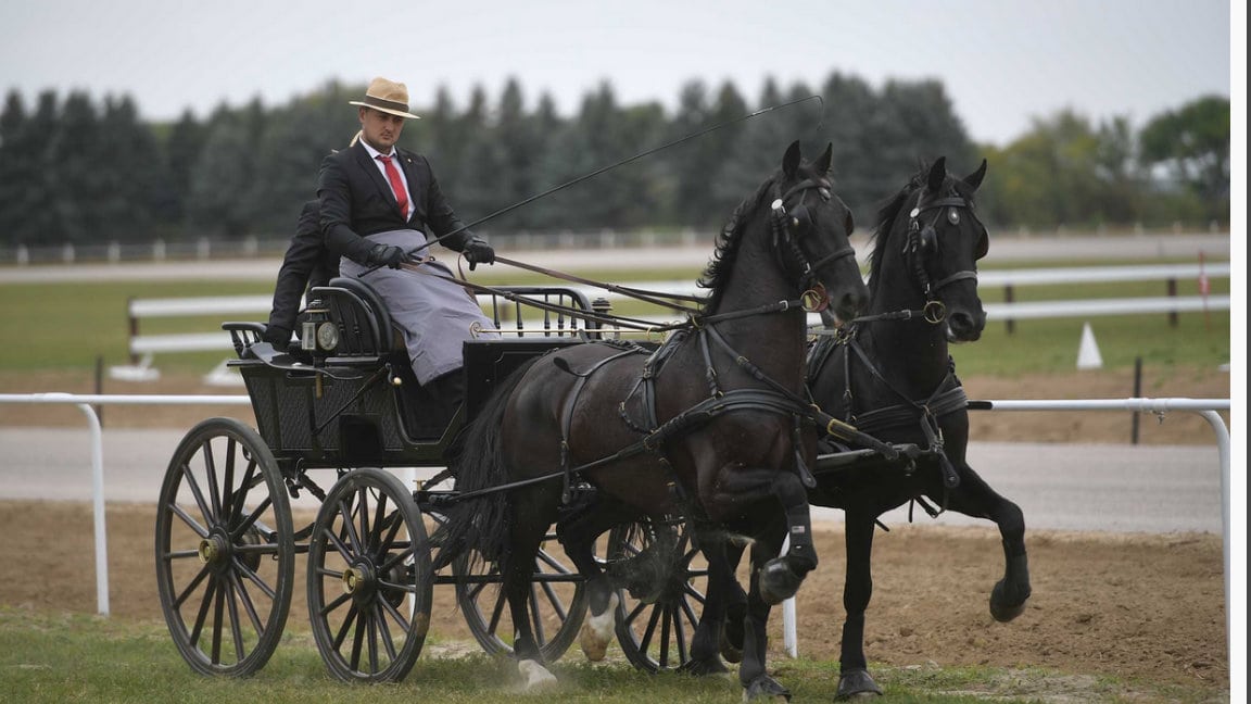 Izložba konja i takmičenje dvoprega i četvoroprega (FOTO) 1