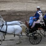 Izložba konja i takmičenje dvoprega i četvoroprega (FOTO) 2