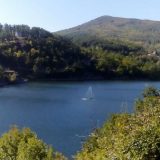 Borsko jezero: U šumi i na putu 9