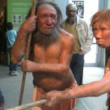 Neandertalci su bili kadri da ubiju plen sa distance (2. deo) 3