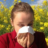 Kako se ponašati u nadolazećoj sezoni alergija? 15
