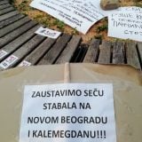 Protest Jedan od pet miliona zbog seče drveća na Kalemegdanu (FOTO) 13