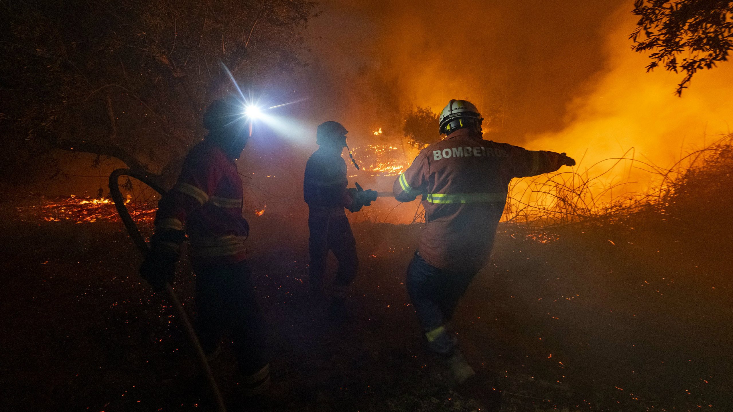 Borba s požarom u Portugaliji, 31 osoba povređena 1