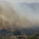 U Grčkoj za jedan dan buknulo 60 požara 8