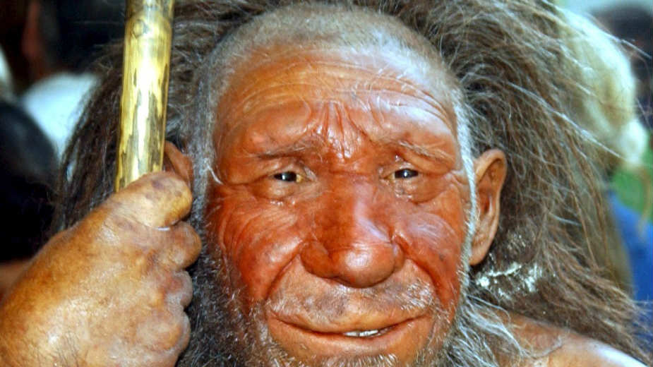 Kako je „loša sreća“ oterala Neandertalce sa Zemlje 1