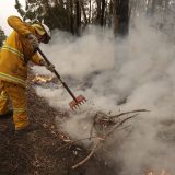 Ekološka fondacija DiKaprija daje tri miliona dolara za borbu protiv požara u Australiji 6