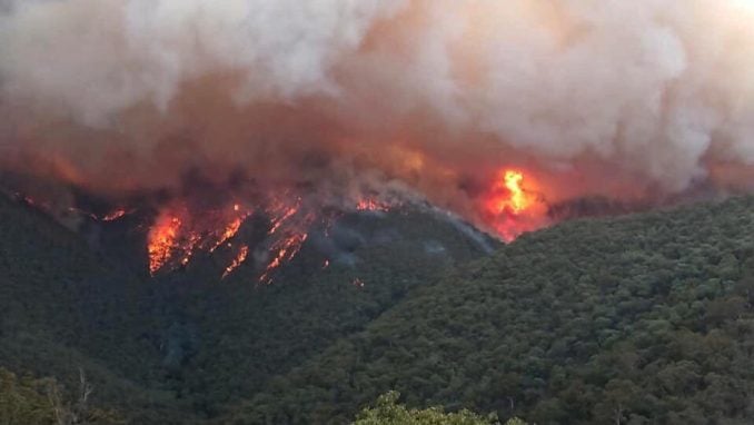 Pet stvari koje su obeležile godinu u oblasti klimatskih promena 1