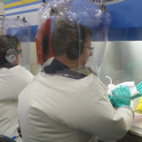 Korona virus: Naučnici u Australiji započeli testiranje mogućih vakcina 6